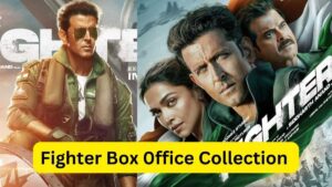 Fighter Movie Box Office Collection